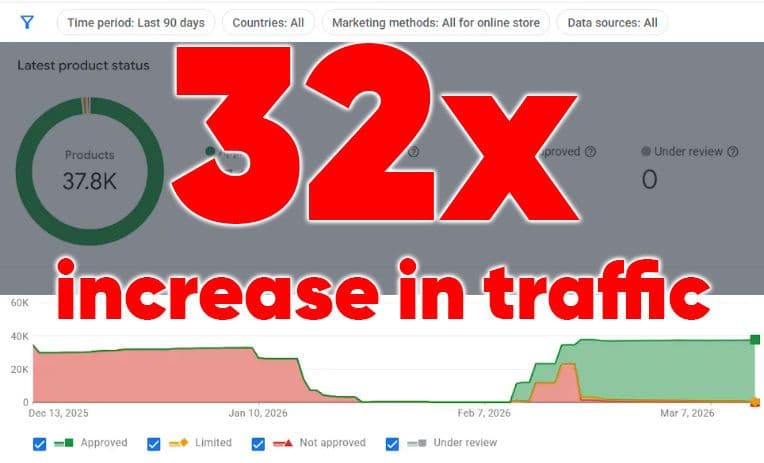 CASE STUDY: Scaling E-commerce Growth via GMC Recovery and Feed Optimization
